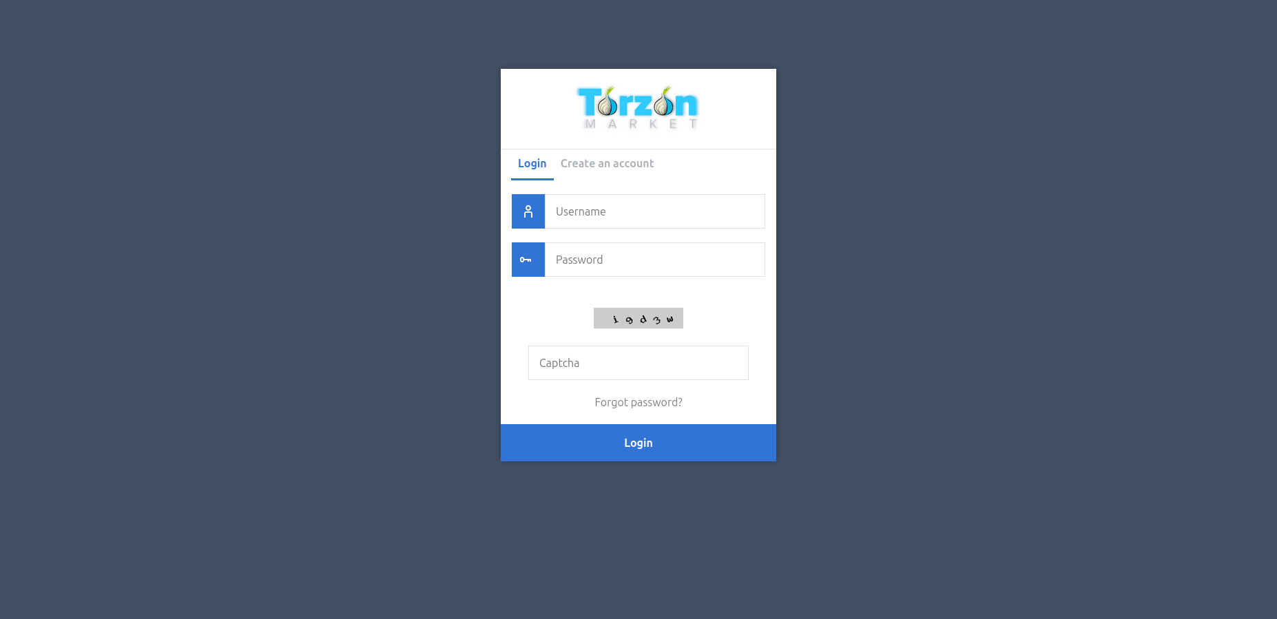 Login Interface